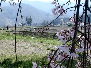 tetsunen149m.jpg (32308 oCg)