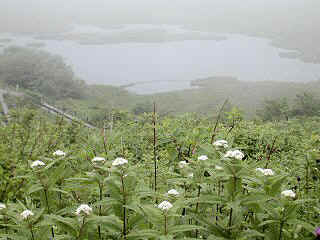 yashima156m.JPG (34041 バイト)