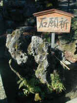 narutani084s.JPG (71770 バイト)