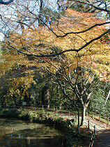 seihouji054s.JPG (78415 バイト)