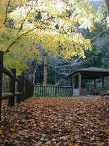 seihouji072s.JPG (76771 バイト)