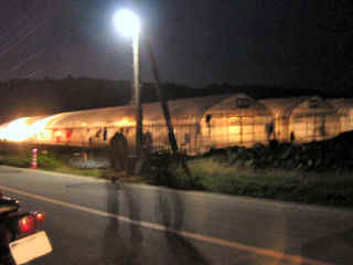 jishin3244m.JPG (23729 バイト)