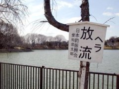 kanban082.jpg (13985 バイト)