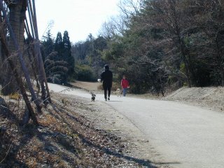 sanpo039.jpg (24566 バイト)