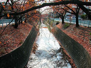 R㗬